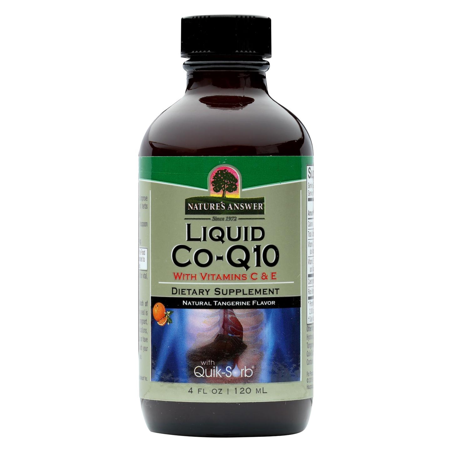 Nature's Answer - Liquid Co-q10 - 4 Fl Oz